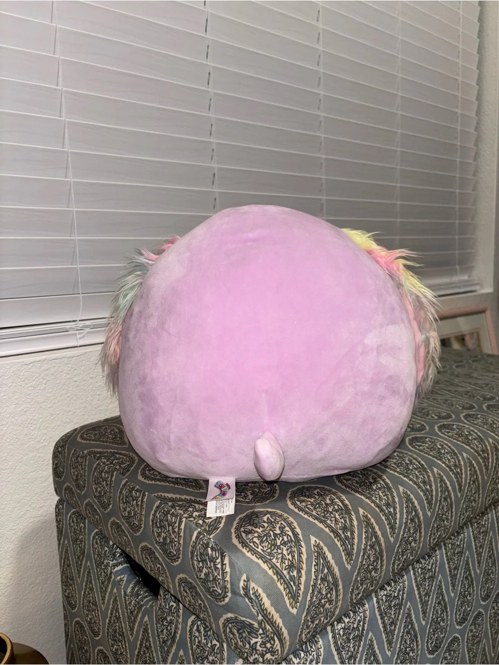 Squishmallows original barb